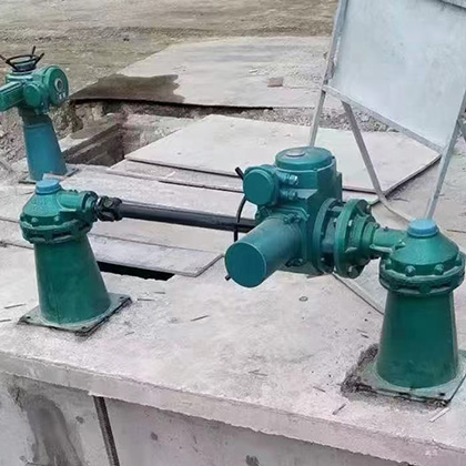 QL型双吊螺杆式启闭机图片4