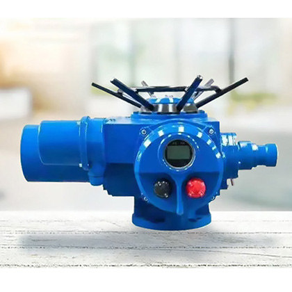 QLD型电装启闭机图片4