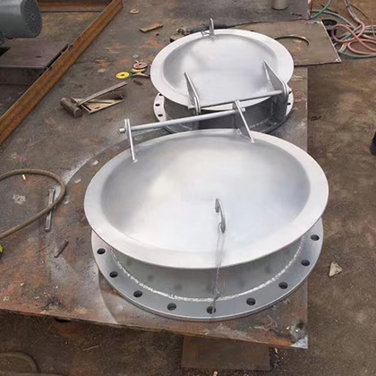 不锈钢拍门图片2