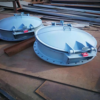 不锈钢拍门图片4