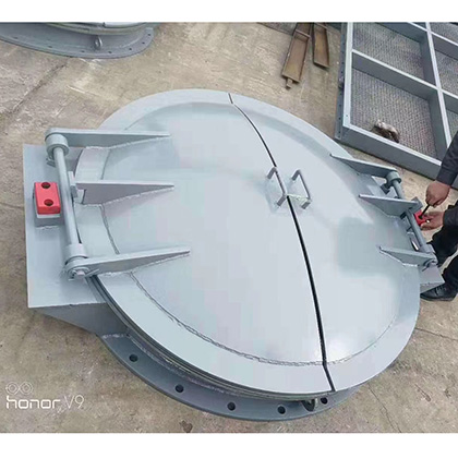 不锈钢拍门图片5