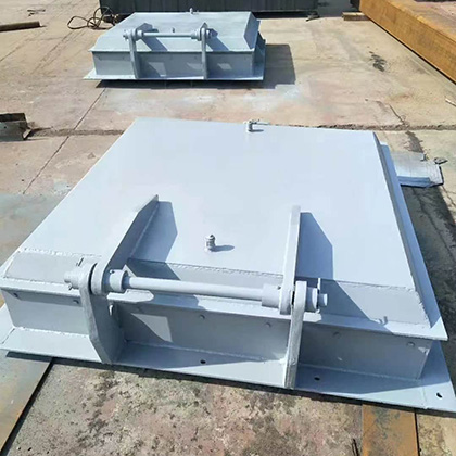 不锈钢拍门图片6