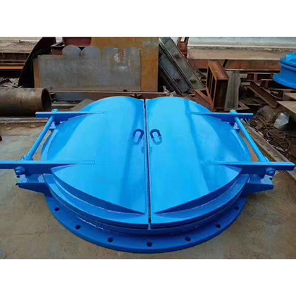 不锈钢拍门图片7